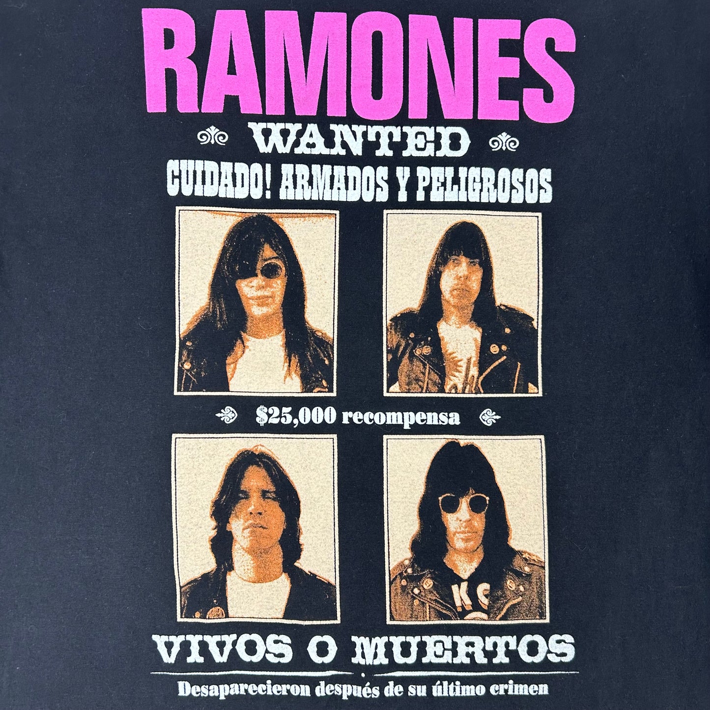 Vintage 1996 Ramones Adios Amigos Tour Shirt