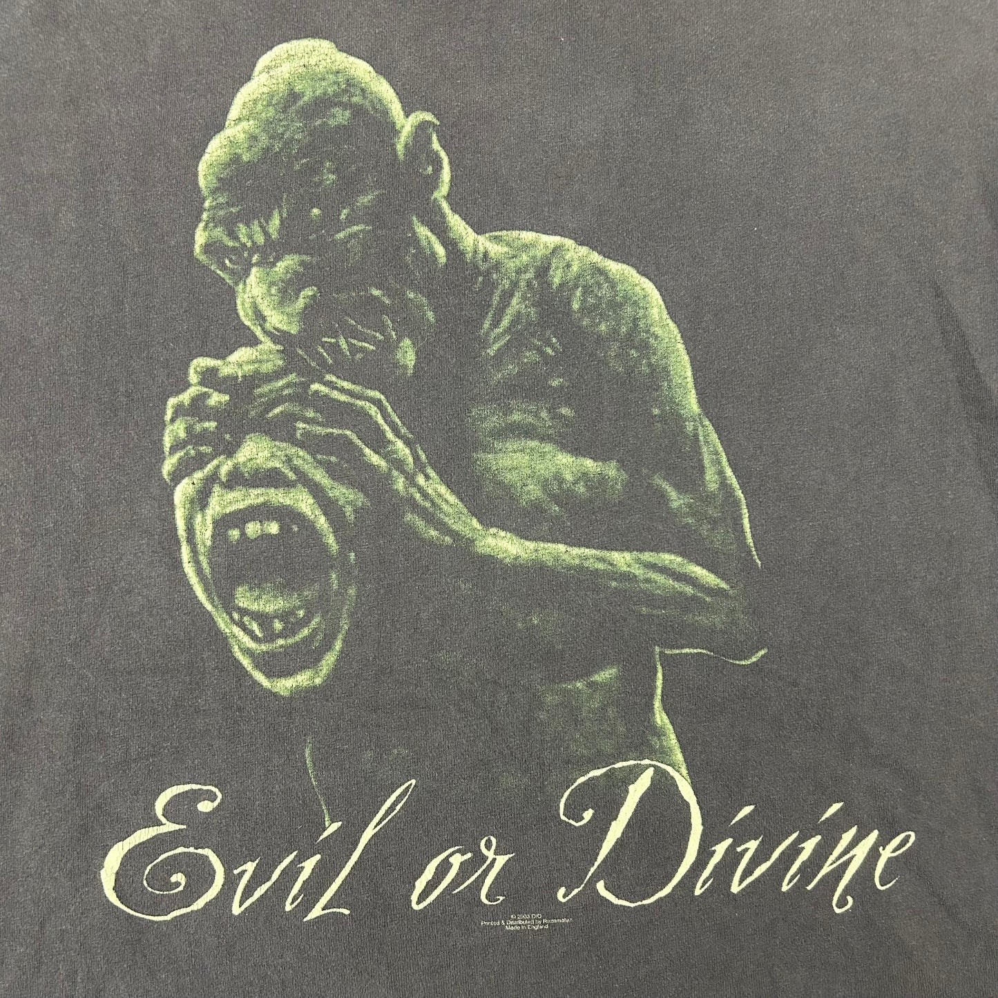 Vintage 2003 Dio Evil or Divine Shirt